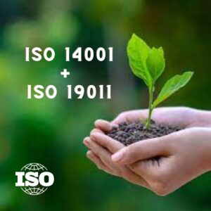 ISO 14001 + ISO 19011