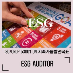 ESG / ISO/UNDP 53001